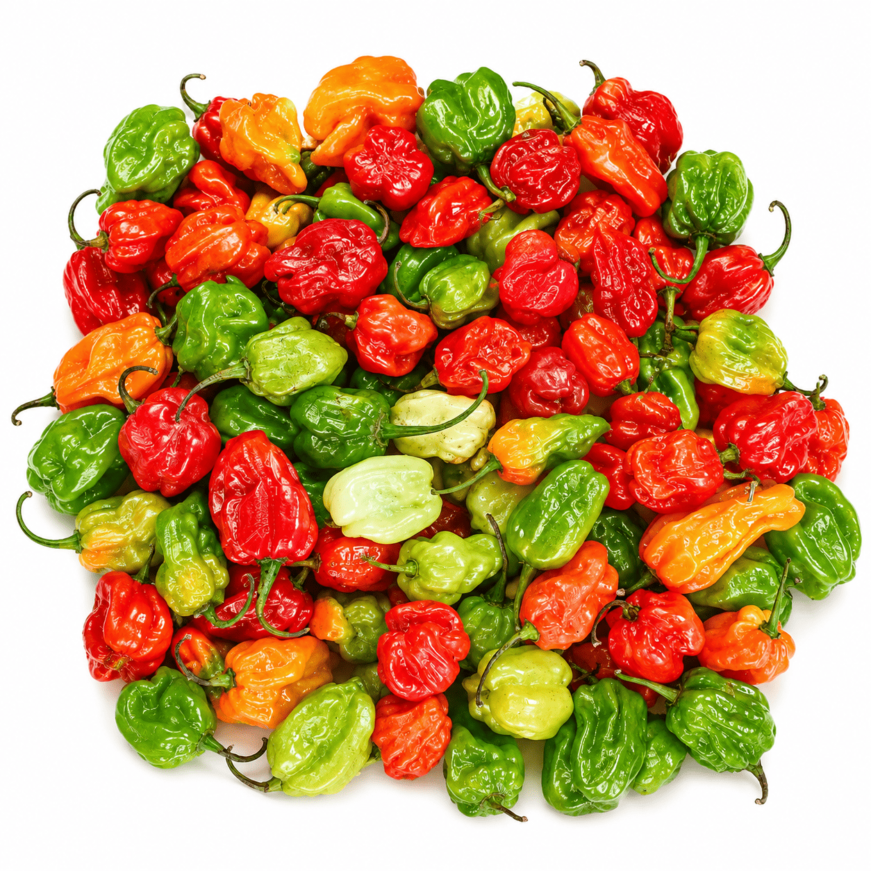 Fresh Pepper per kilo