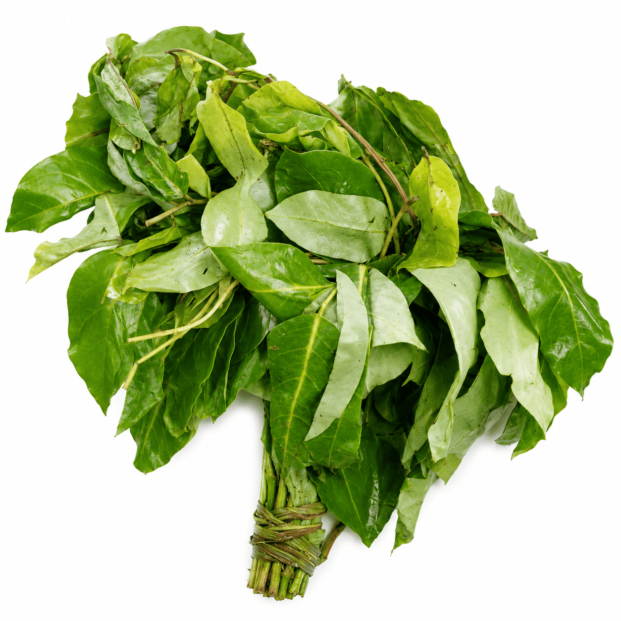 Fresh Oha Leaves per bundle