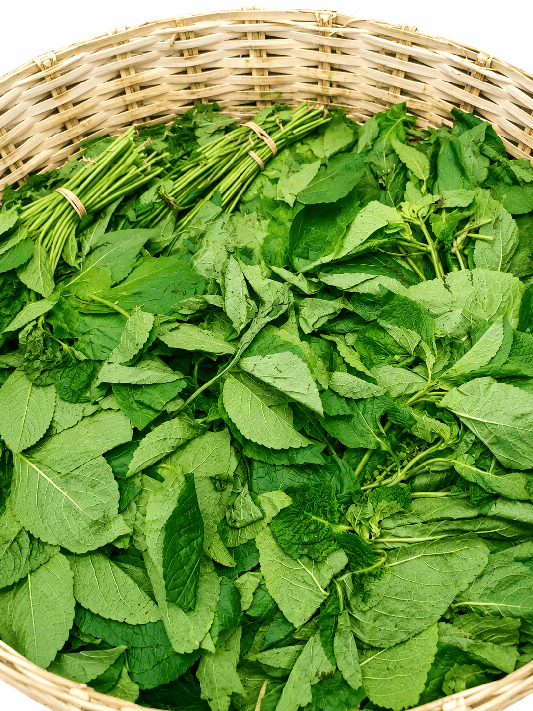 Scent Leaves per bundle