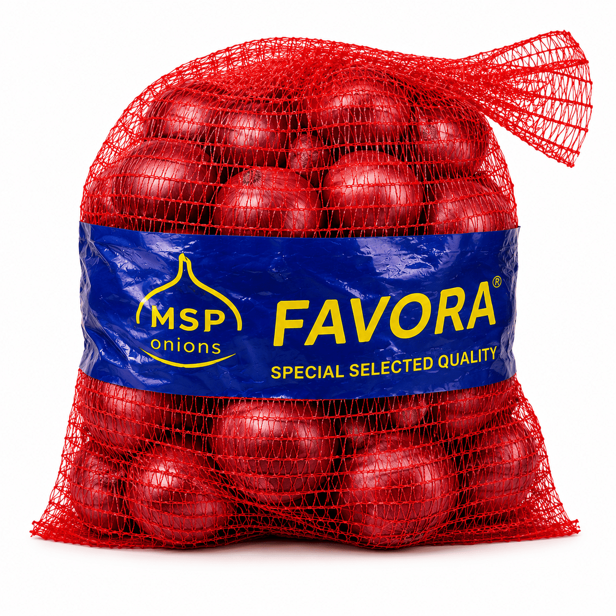 MSP Onion Favori 