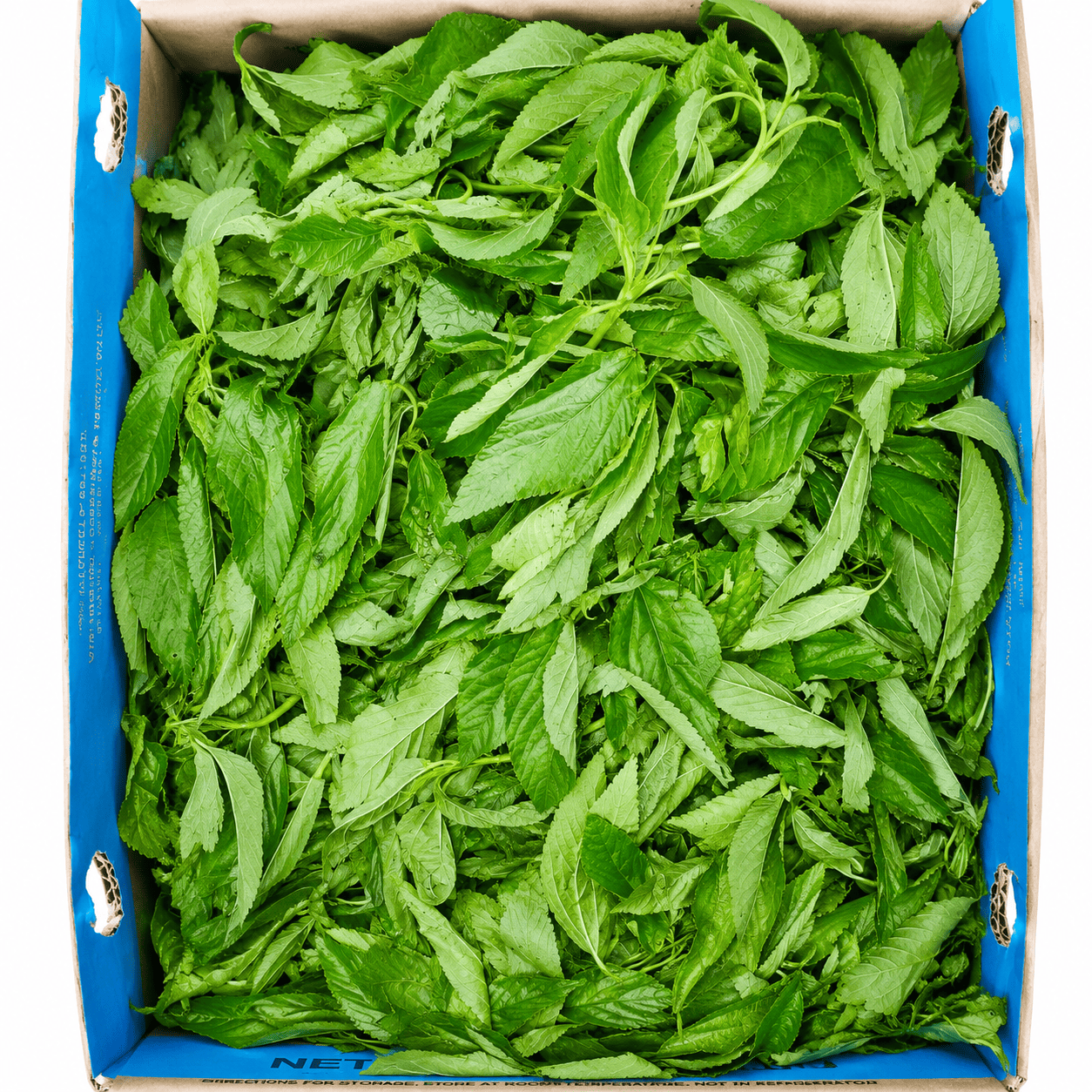 Fresh Jute Leaves (Ewedu) per bundle