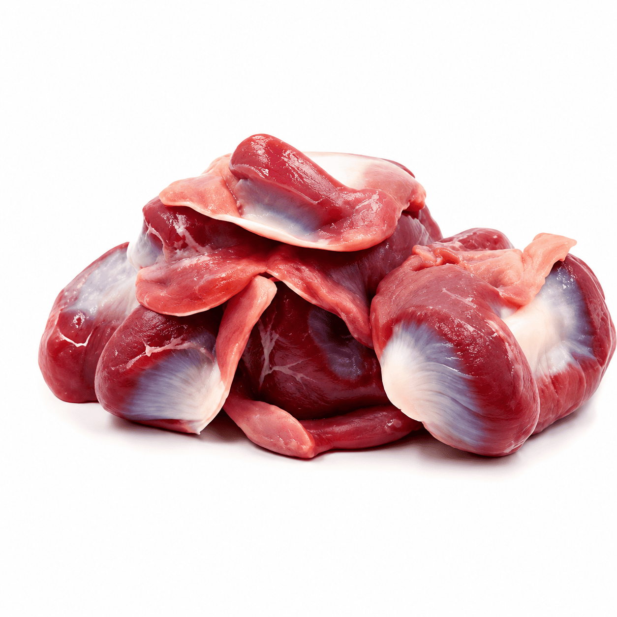 Turkey Gizzard